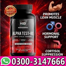  Alpha Test Rx Post Cycle Therapy In Pakistan