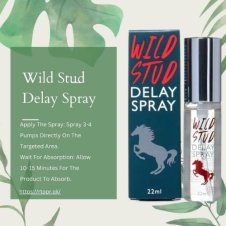  Wild Stud Delay Spray In Pakistan